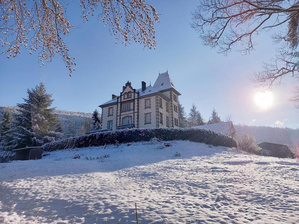 Chateau Robert Raon-l'Etape Bagian luar foto