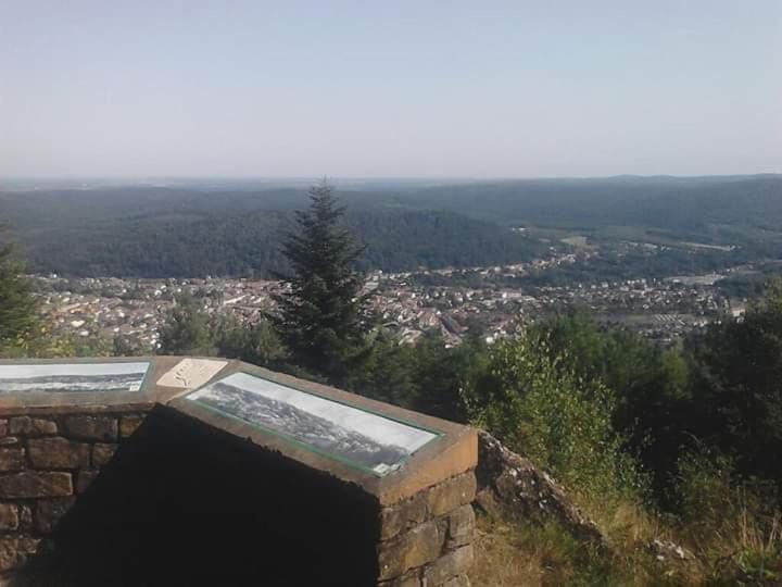 Chateau Robert Raon-l'Etape Bagian luar foto