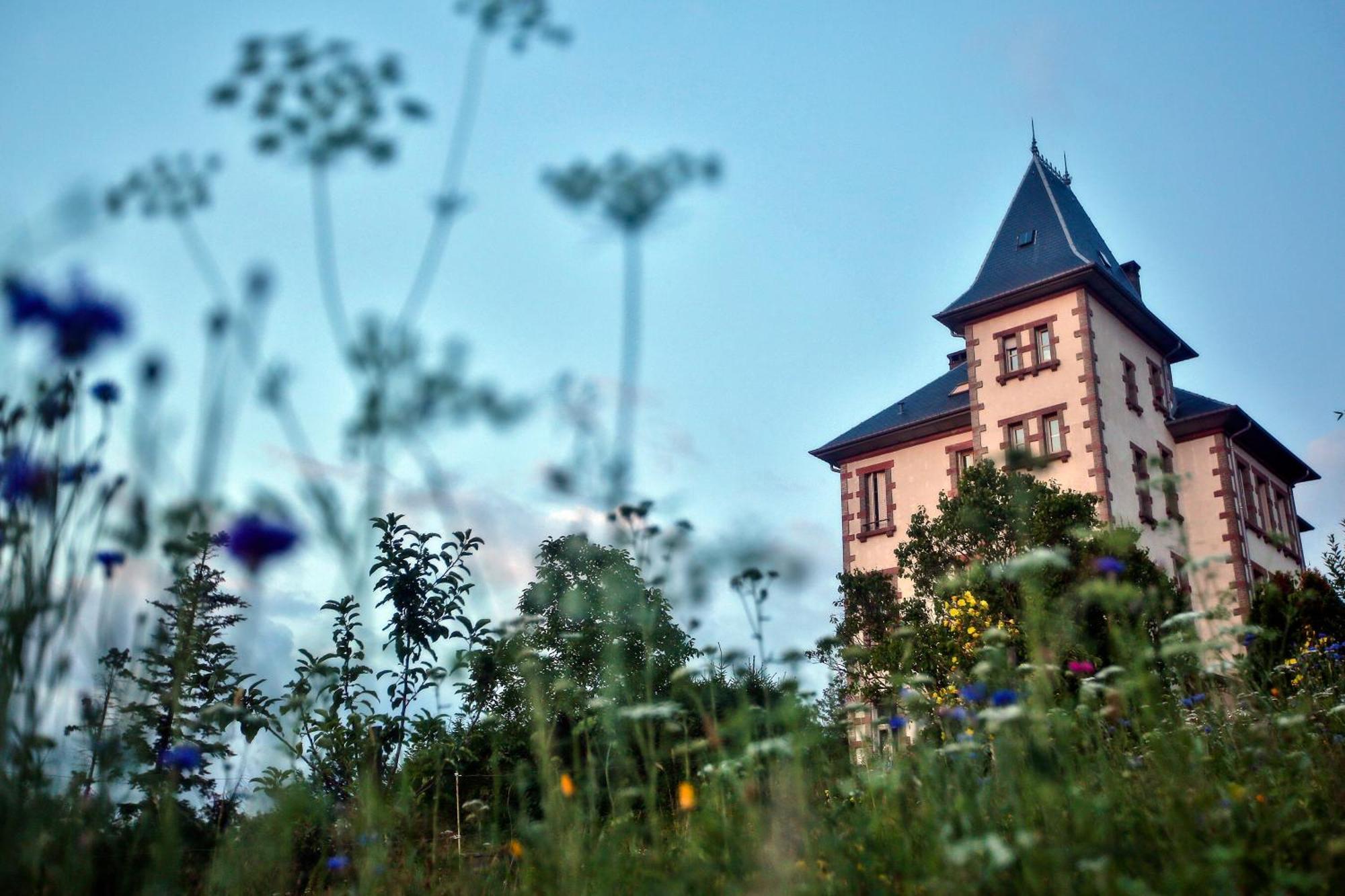 Chateau Robert Raon-l'Etape Bagian luar foto