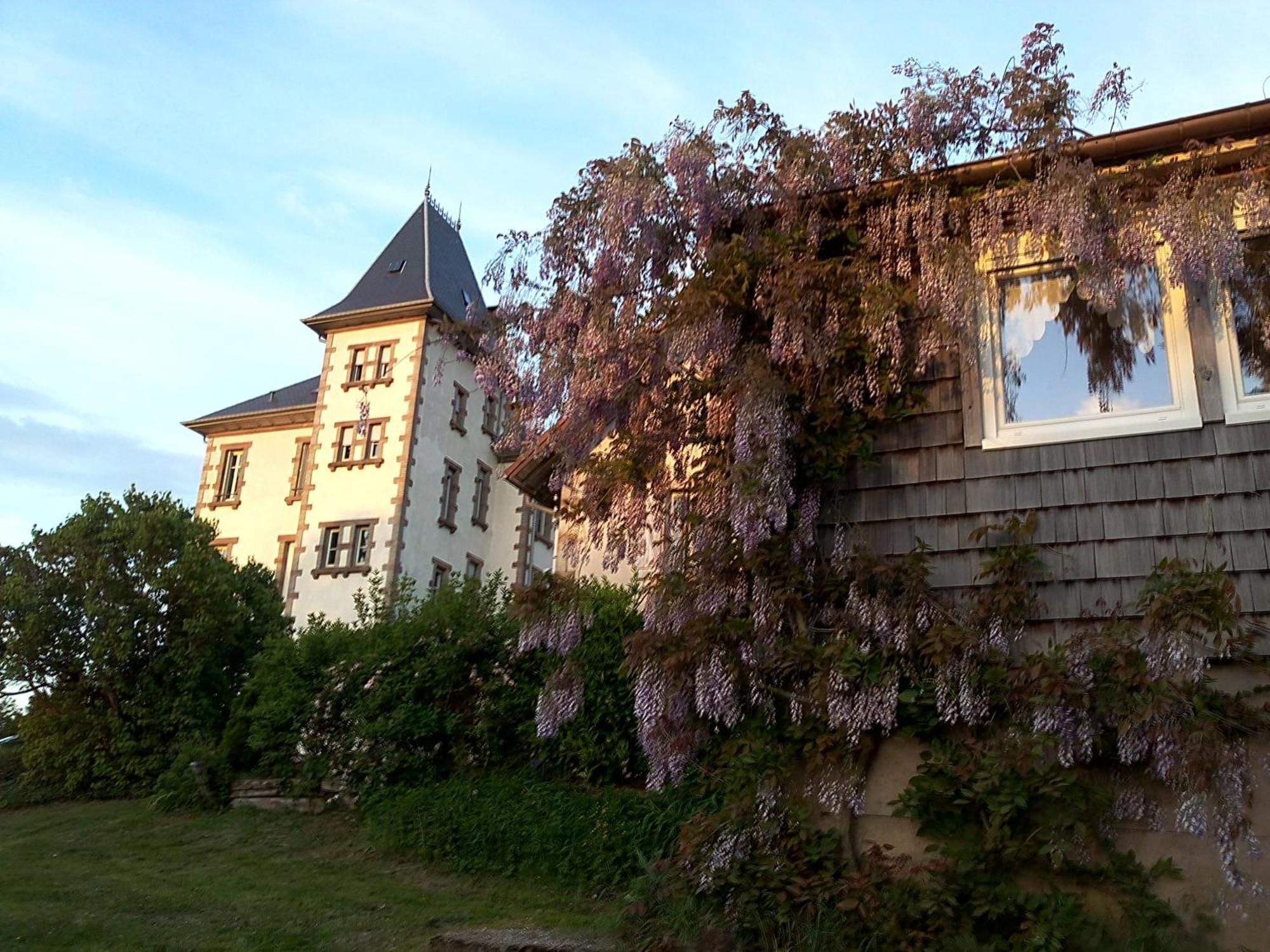 Chateau Robert Raon-l'Etape Bagian luar foto