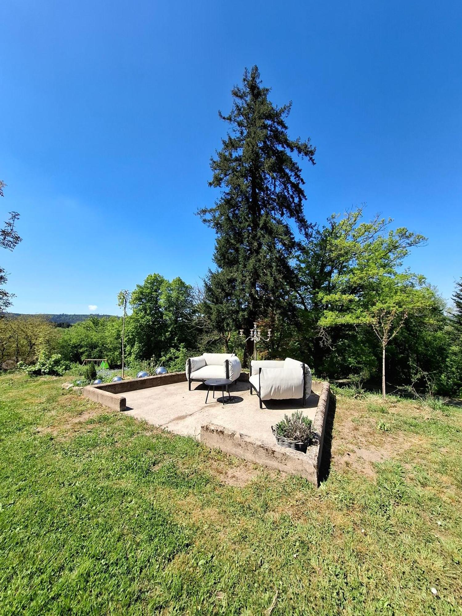 Chateau Robert Raon-l'Etape Bagian luar foto
